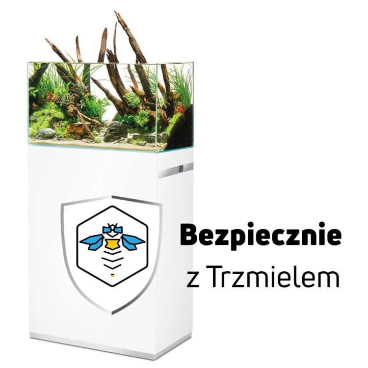 ub.jpg