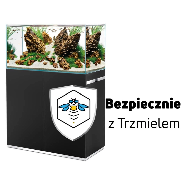 ub.jpg