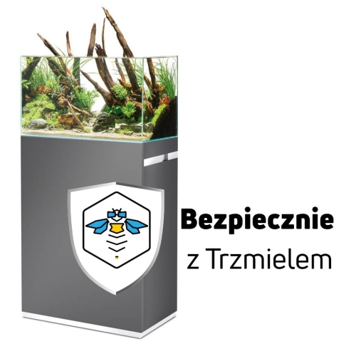ub.jpg