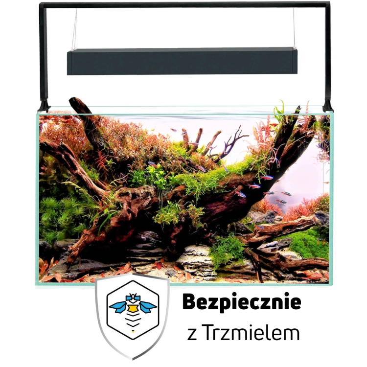 ub.jpg