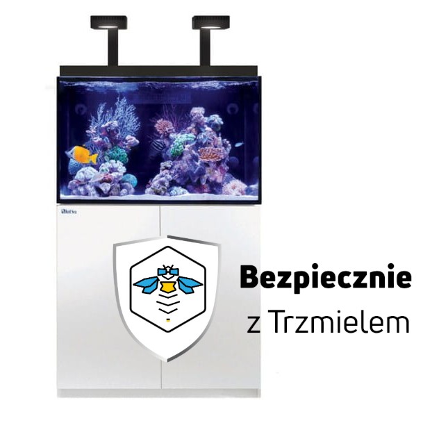 ub.jpg
