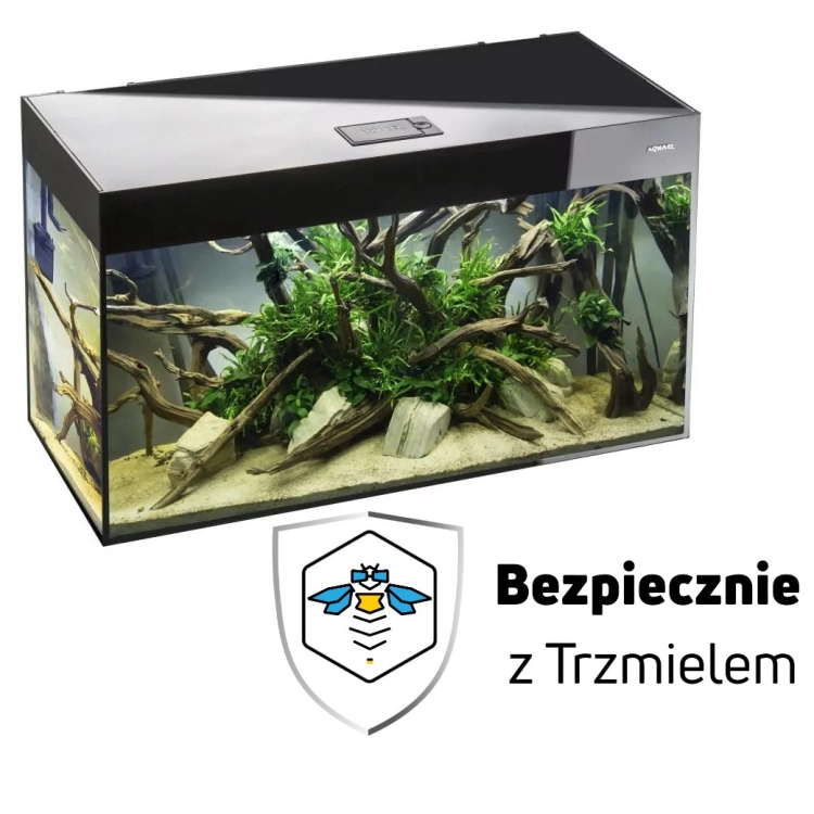 ub.jpg