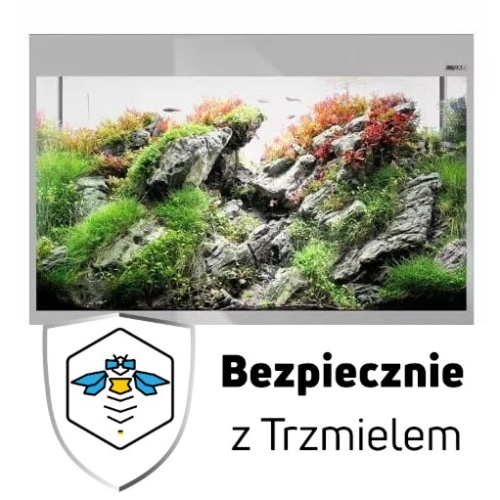ub.jpg