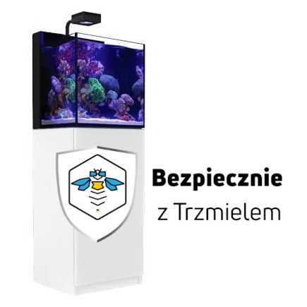 ub.jpg