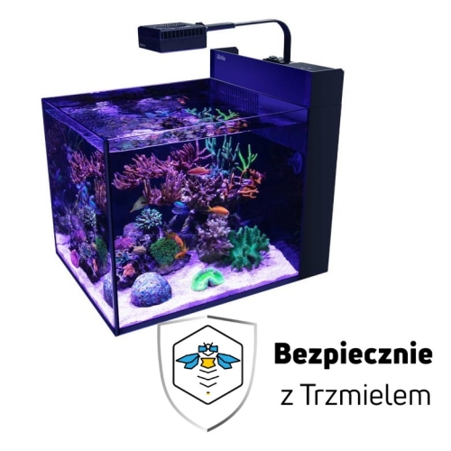 ub2.jpg