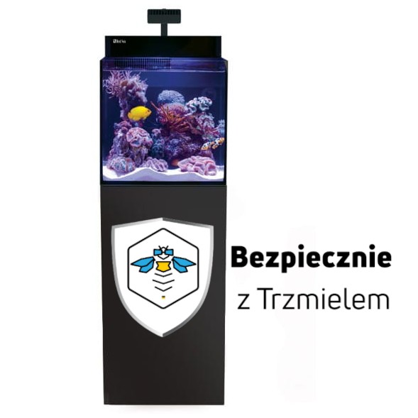 ub2.jpg