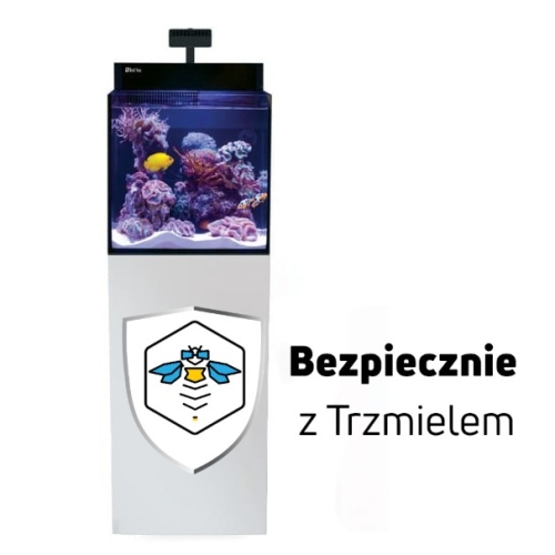 ub2.jpg