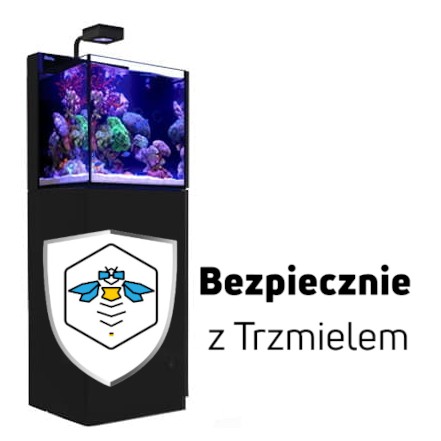 ub2.jpg