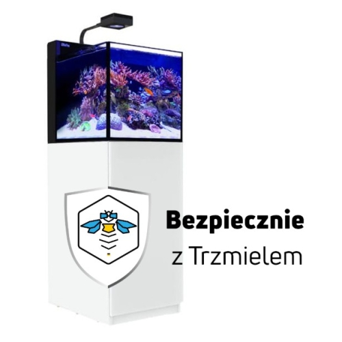 ub2.jpg