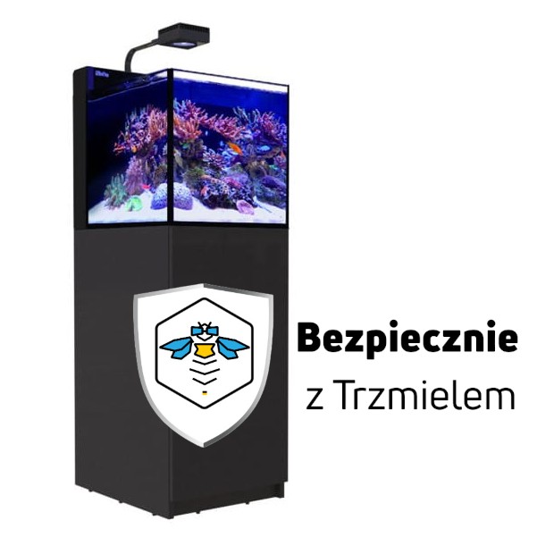 ub2.jpg