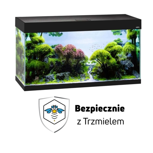 ub.jpg