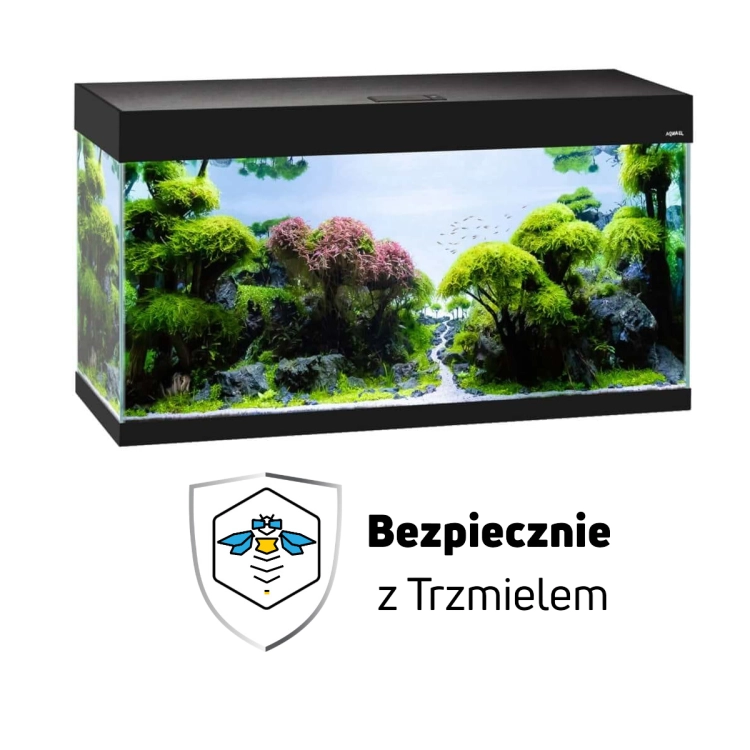 ub.jpg