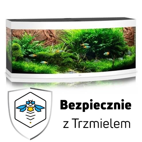 ub.jpg