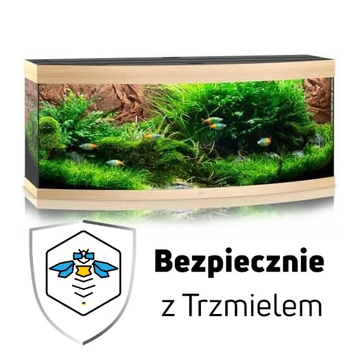 ub1.jpg
