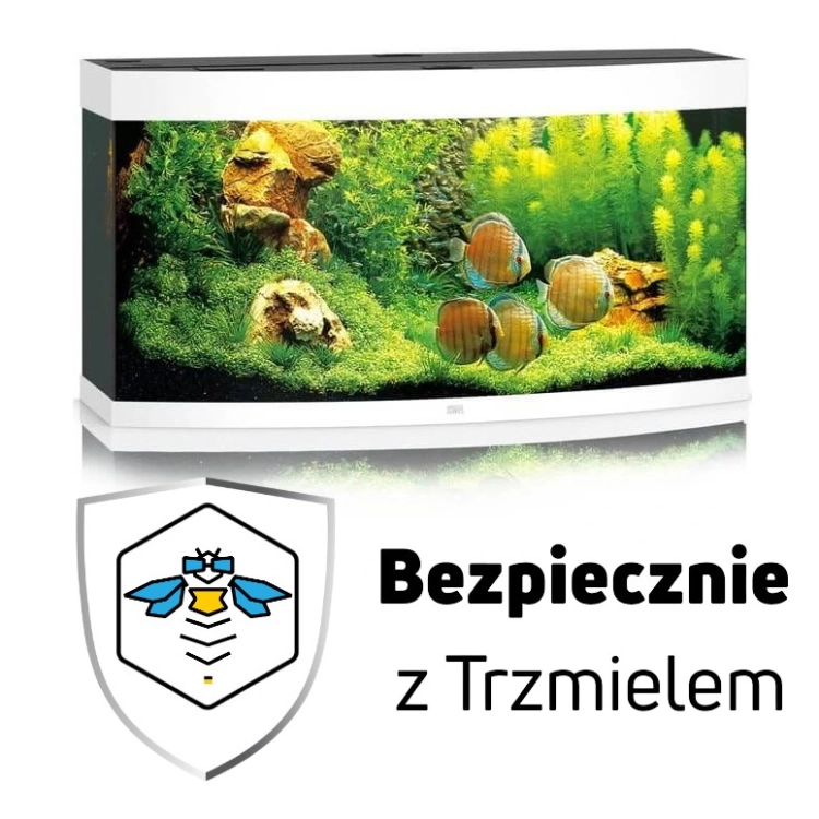 ub.jpg