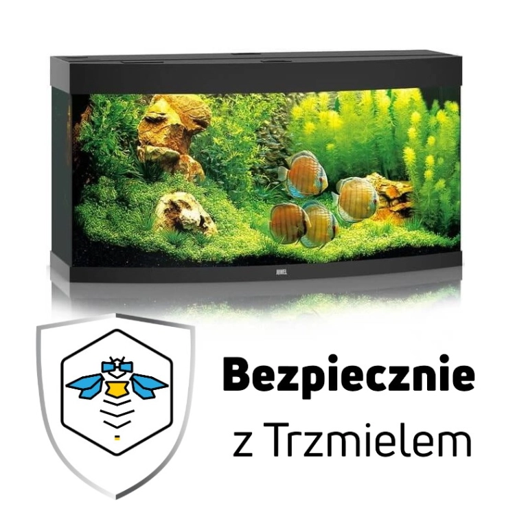 ub.jpg