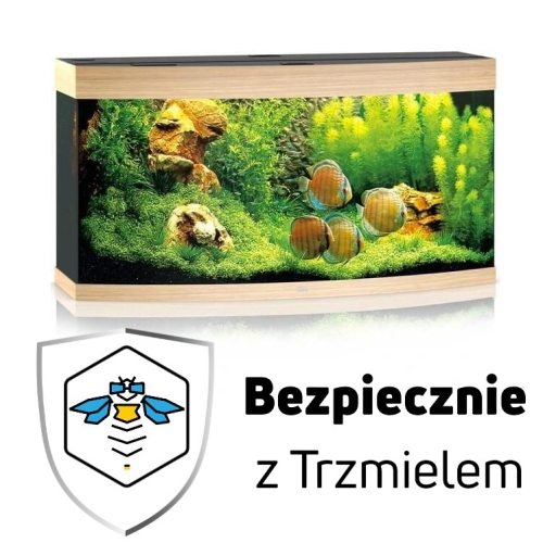 ub.jpg