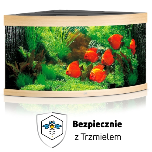 ub1.jpg