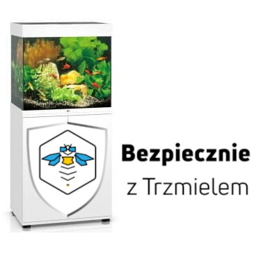 ub.jpg