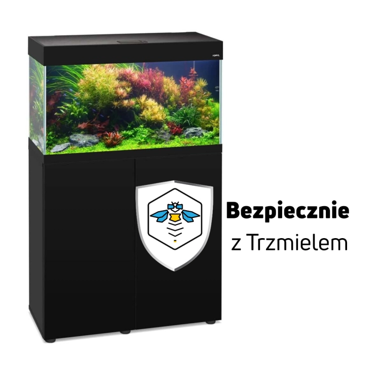 ub125.jpg