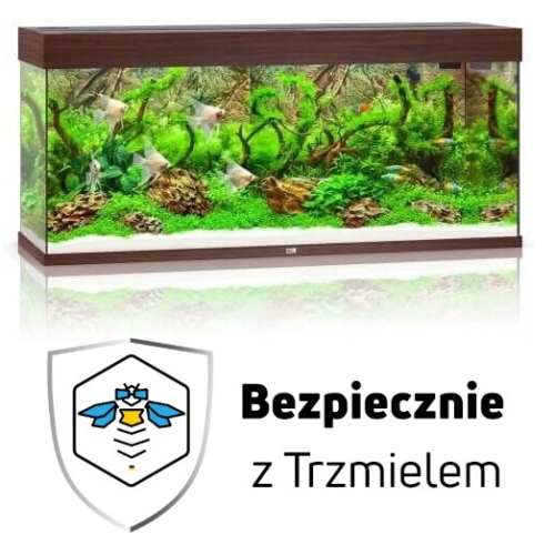 ub2.jpg