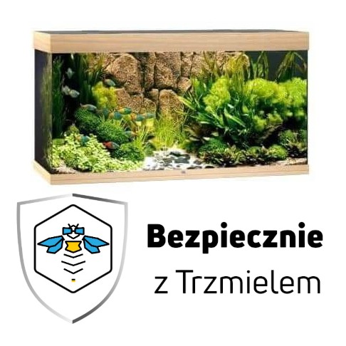 ub1.jpg