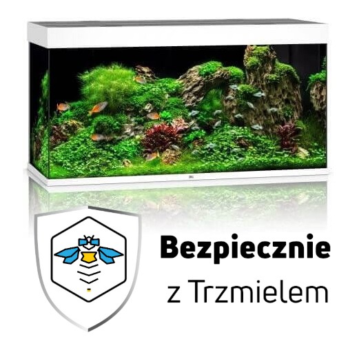 ub2.jpg