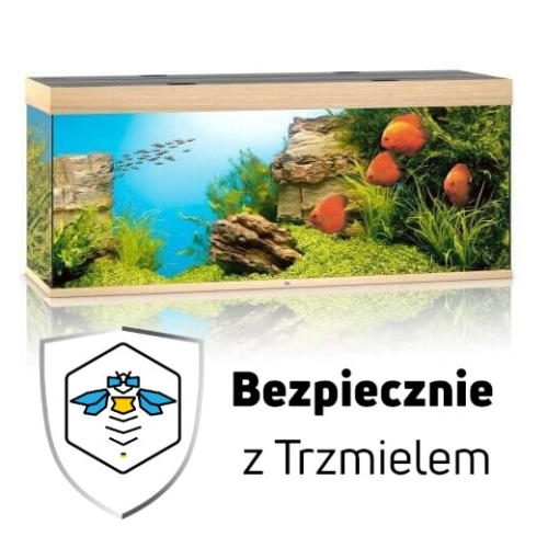 ub1.jpg