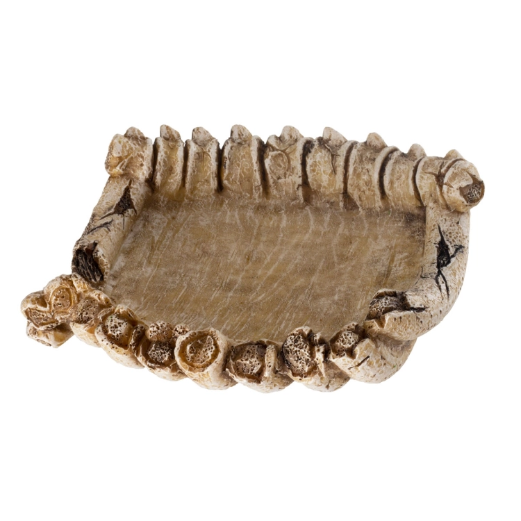 REP-DISH-BONES 1200.jpg
