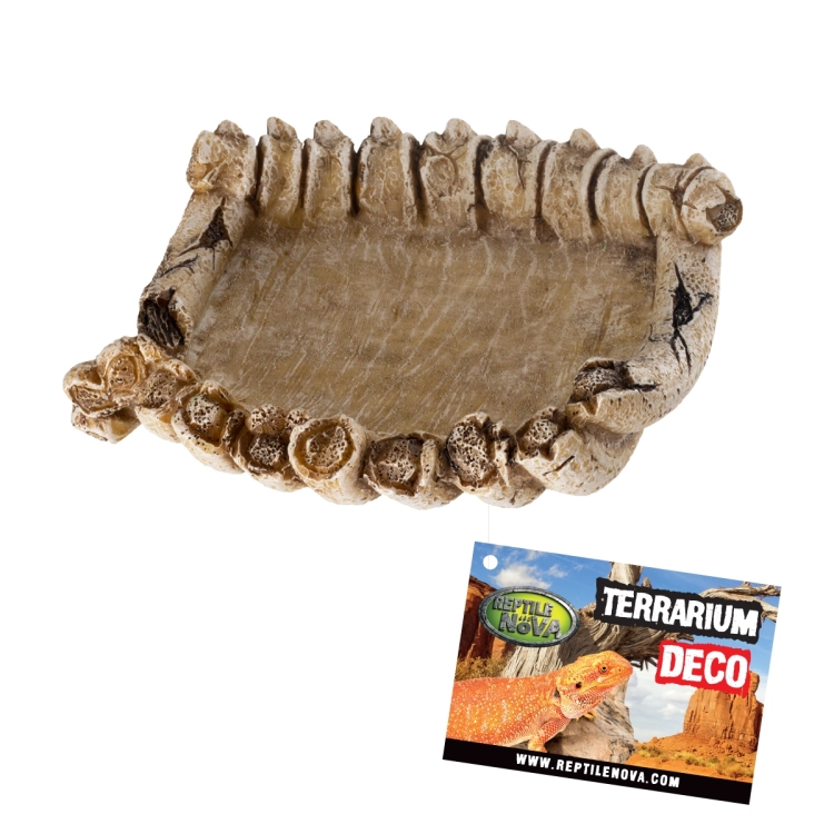 REP-DISH-BONE 3D.jpg