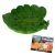 REP-DSIH-LEAF 3D.jpg