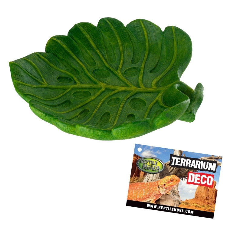 REP-DSIH-LEAF 3D.jpg