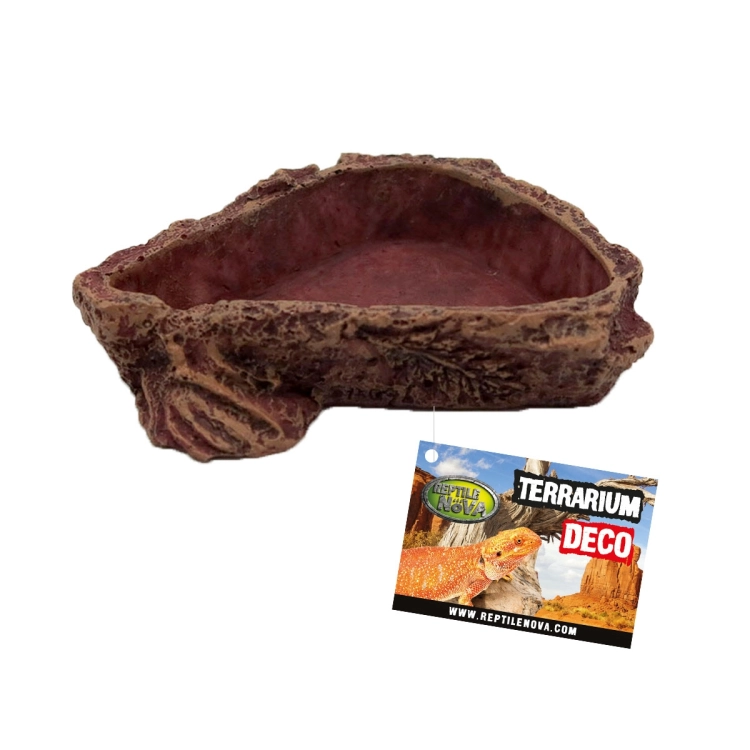 REP-DISH-SMALL.jpg