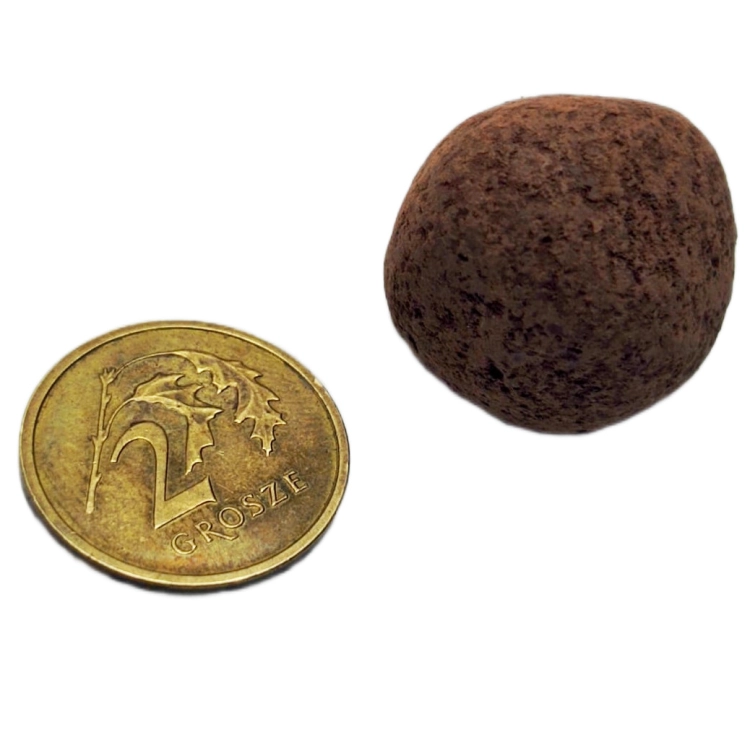 13 kulek premium (1).jpg