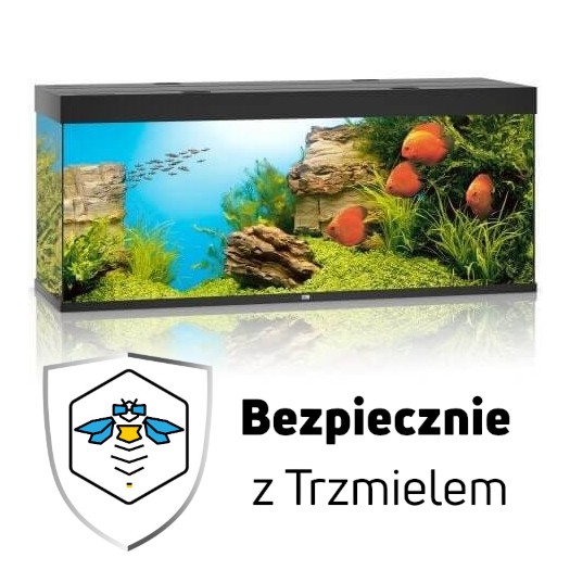 ub2.jpg
