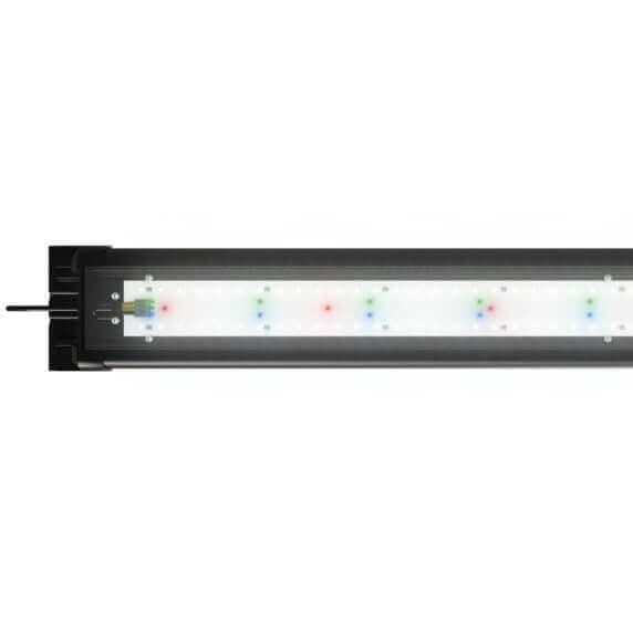Juwel Rio 180 Helialux Spectrum zestaw akwarium czarny
