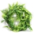 REP-PLANT-140.jpg