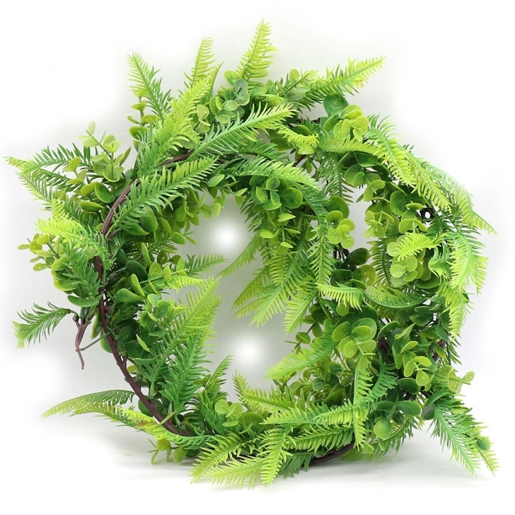REP-PLANT-140.jpg