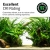 16875-Fluval-Plant-4.0-Nano-LED-Lighting-Panel-Image-INT-EN-4-1024x1024.jpg