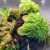 VivoVerde-MicroTerrarium-miniterrarium-z-oswietlenie.jpg