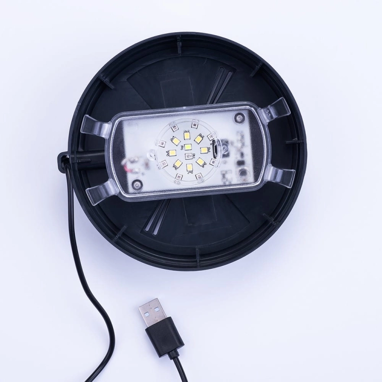 VivoVerde-MicroTerrarium-miniterrarium-z-oswietleniem3.jpg