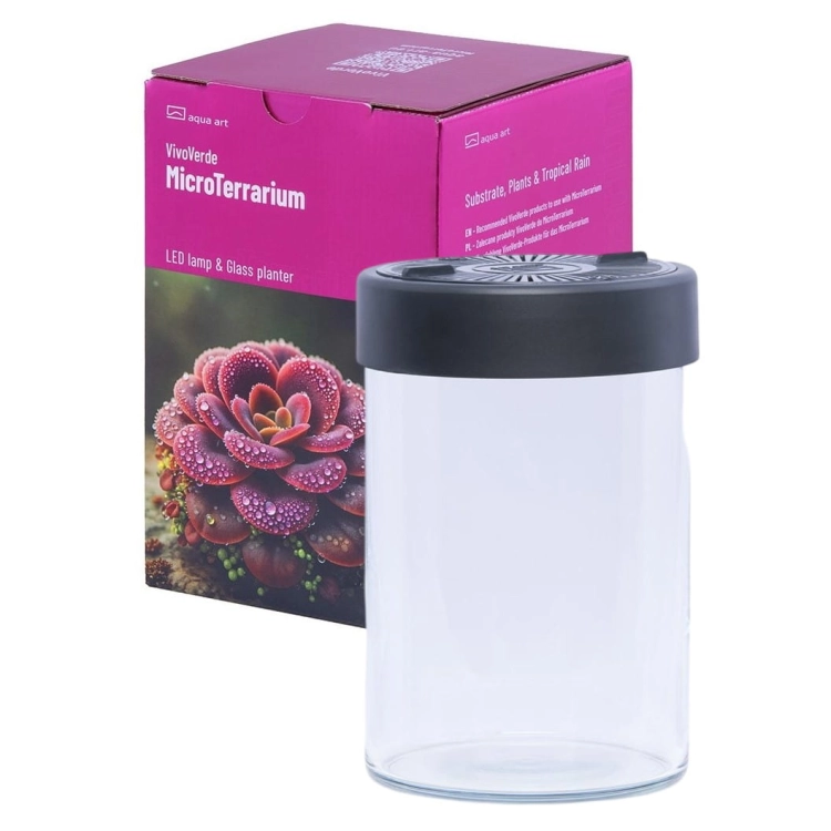 VivoVerde-MicroTerrarium-miniterrarium-z-oswietleniem2.jpg
