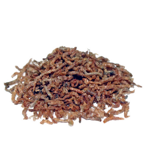 FireShot Capture 892 - PRODAC BLOODWORMS CHIRONOMUS food for freshwater fish_ - www.prodacinternational.it(1).png