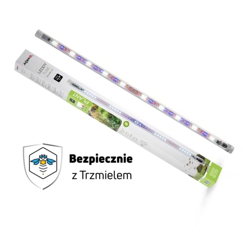 Projekt bez nazwy.jpg