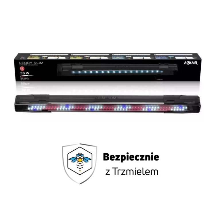 Projekt bez nazwy (2).jpg