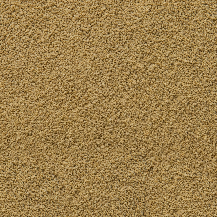 sera_ImmunPro_Mini_Nature_Detail.jpg