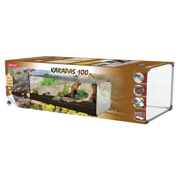 100a.jpg