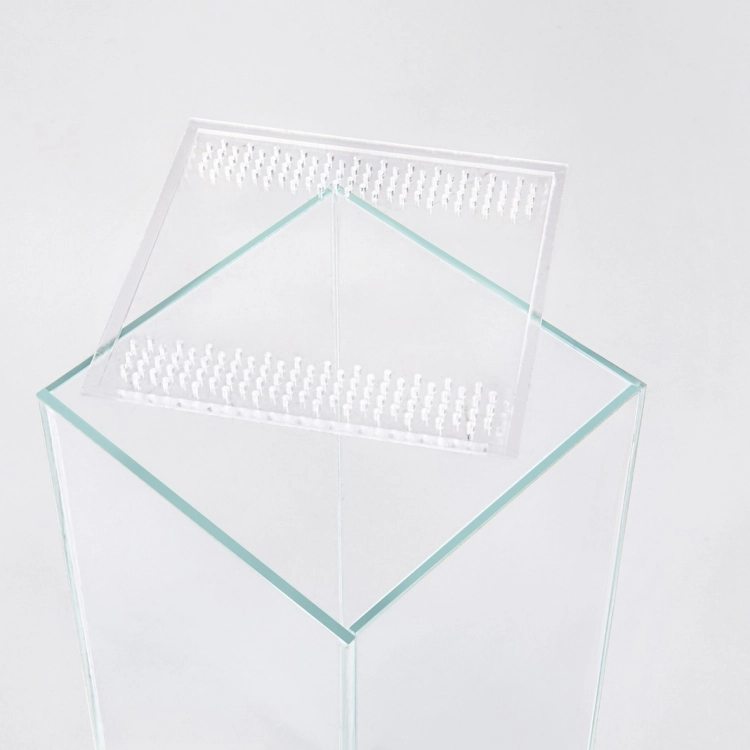 pol_pl_Terrarium-Modliszka-15x15x40-4mm-OPTI-WHITE-619_3.jpg