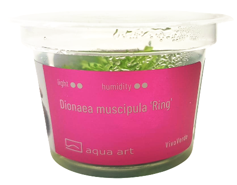ring.png