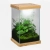 135143_selva-mini-terrarium_14_114-500x500.webp